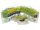 SASAME Fluoro Carbon Superfine zsinór 50m - 0,23mm