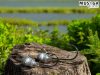 Musaga Hannibal Jig horog fejjel - 5/0 - (5db/csomag) - 7,5gr