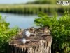 Musaga Magnum Jig horog fejjel - 1/0 - (3db/csomag) - 5,0gr