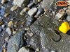 ROK - LINE Aligner - Horog befordító - 45 #L