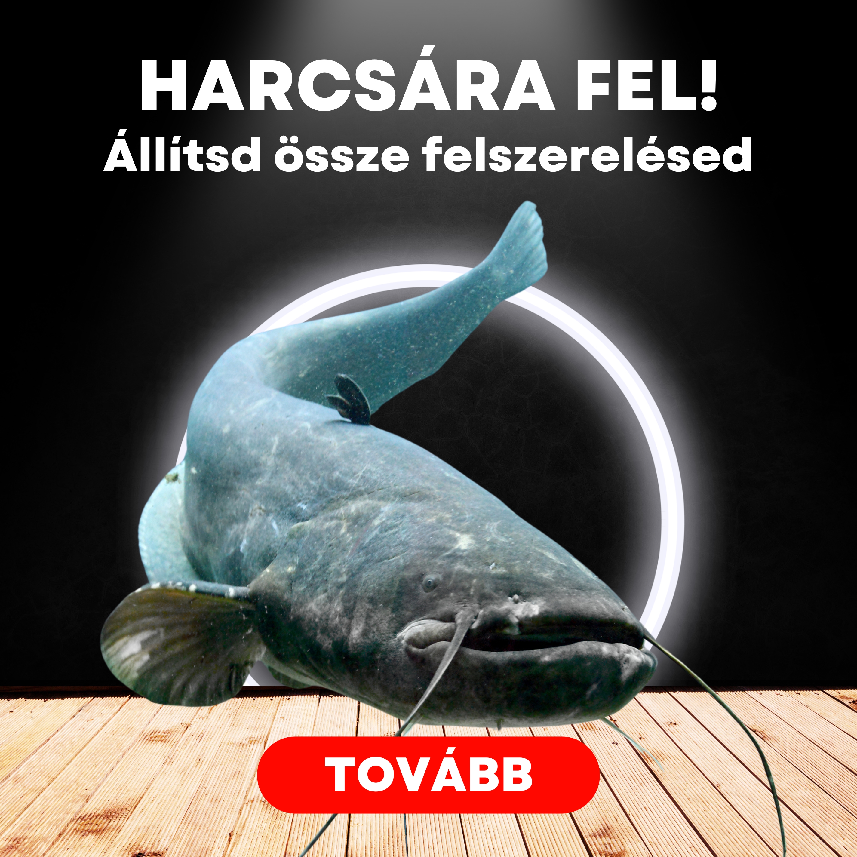 Harcsa arzenál
